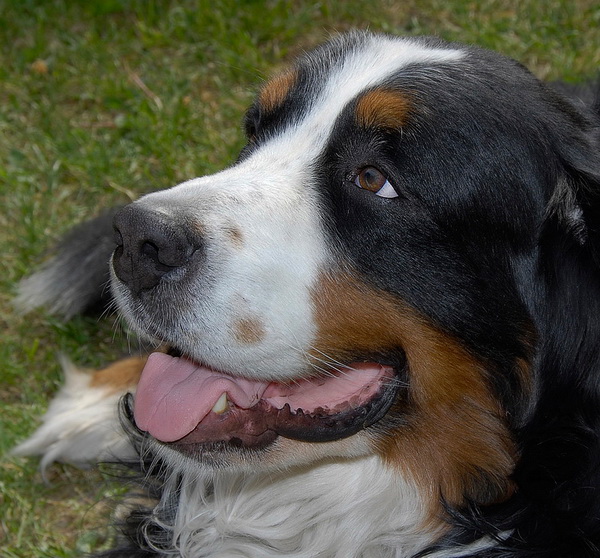 Anton_DDD8969_BildgrÃ¶ÃŸe Ã¤ndern.jpg